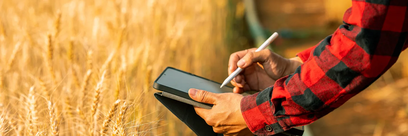 A farmer in a checked shirt marking up a tablet while standing in a ripe barley field.