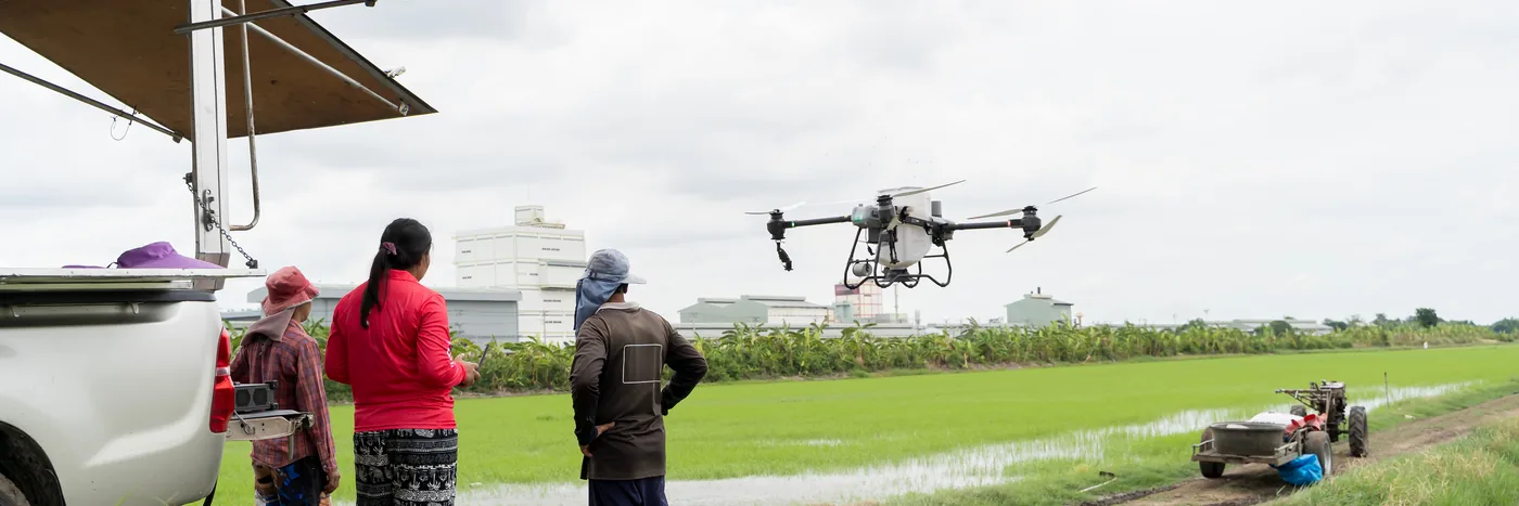 Three people standing beside a pickup at the edge of a paddy field, watching a spray drone work.