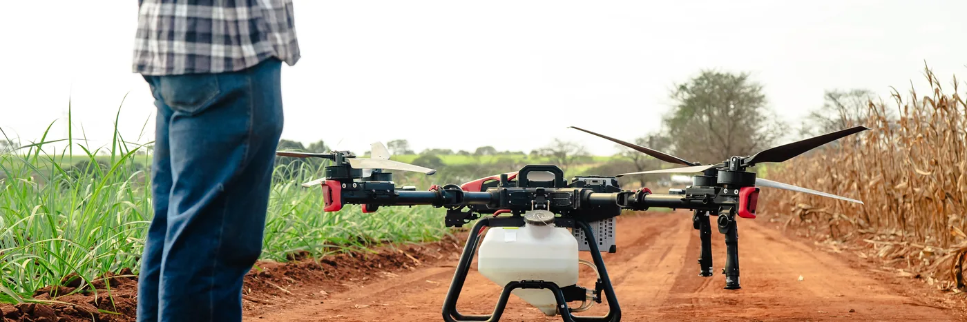 A spray drone standing on its legs on a red dirt farm track beside standing corn, an operator alongside.